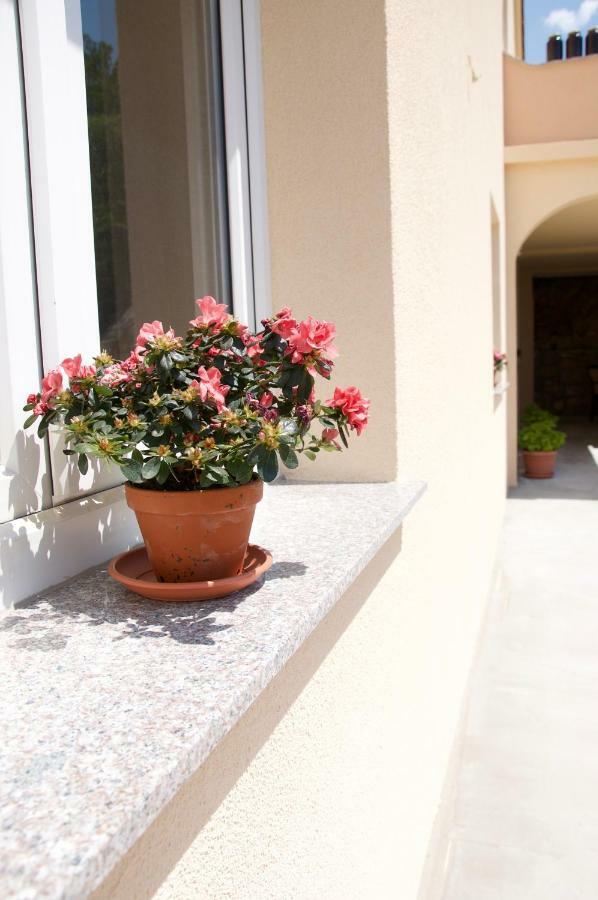 Apartment Viveniti كلينوفيتسا المظهر الخارجي الصورة