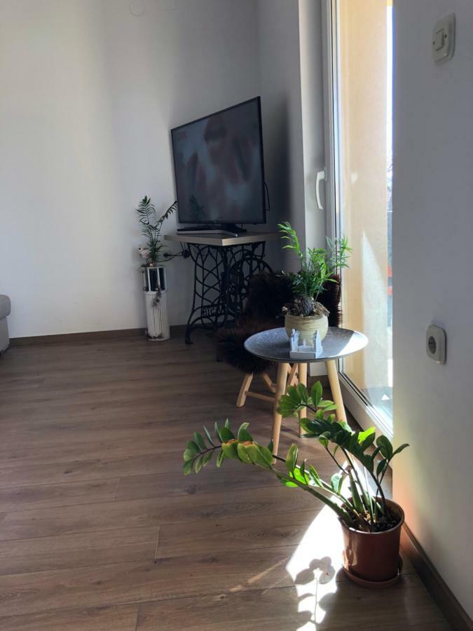 Apartment Viveniti كلينوفيتسا المظهر الخارجي الصورة